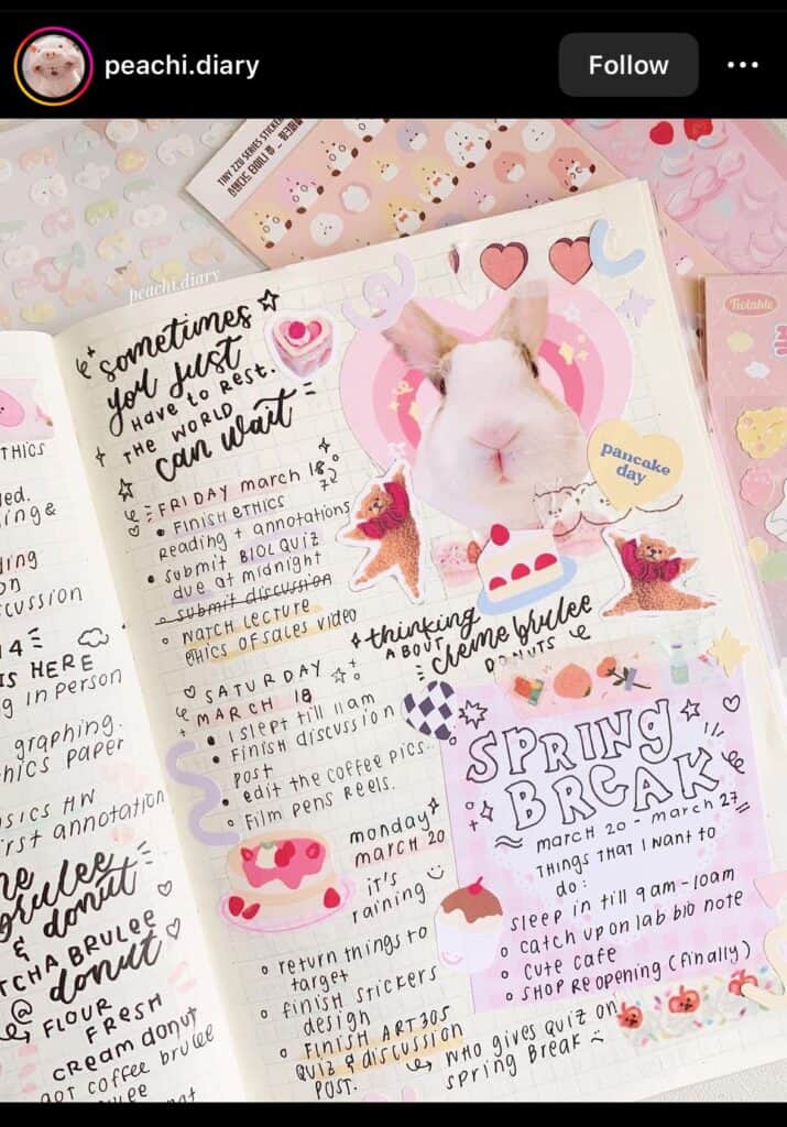 pink inspiring bullet journal spread ideas