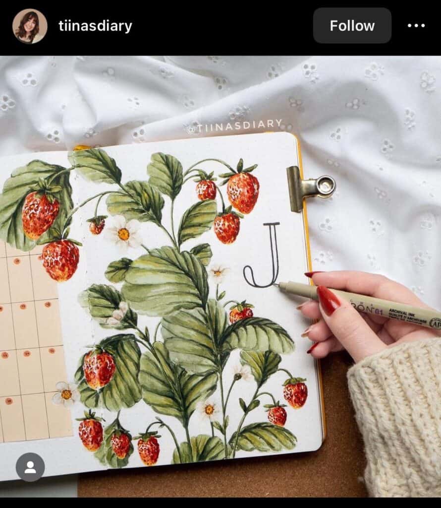 strawberry bullet journal cover ideas