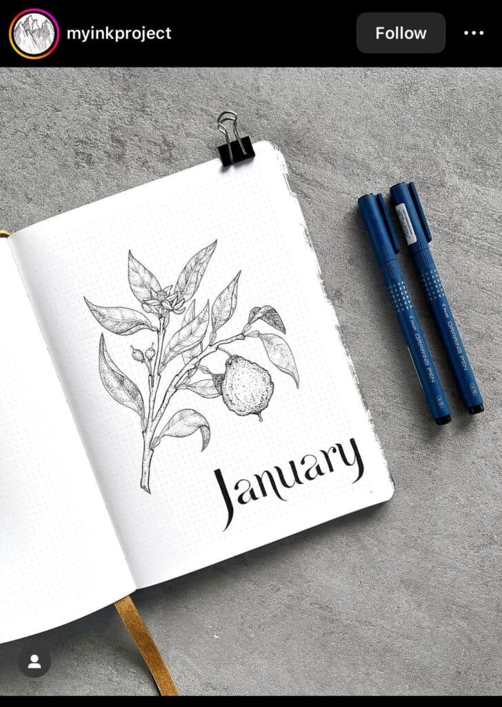 bullet journal minimalist january spread