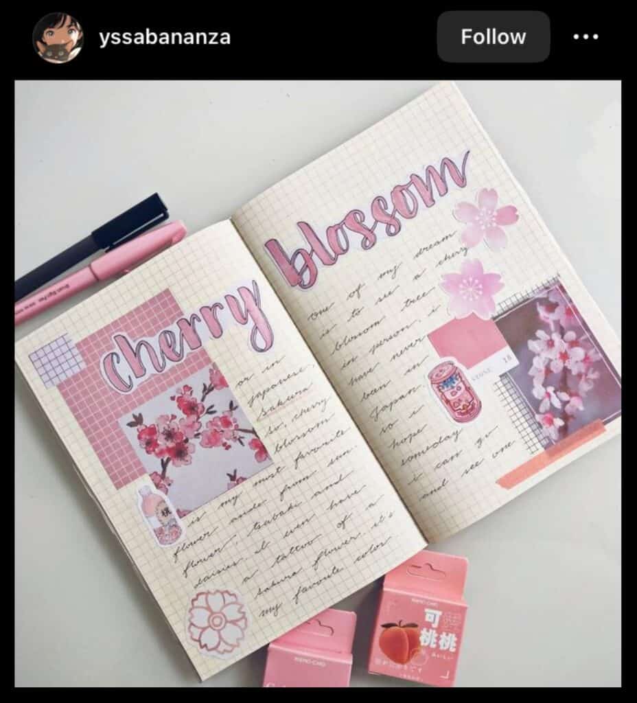 pink bullet journal page