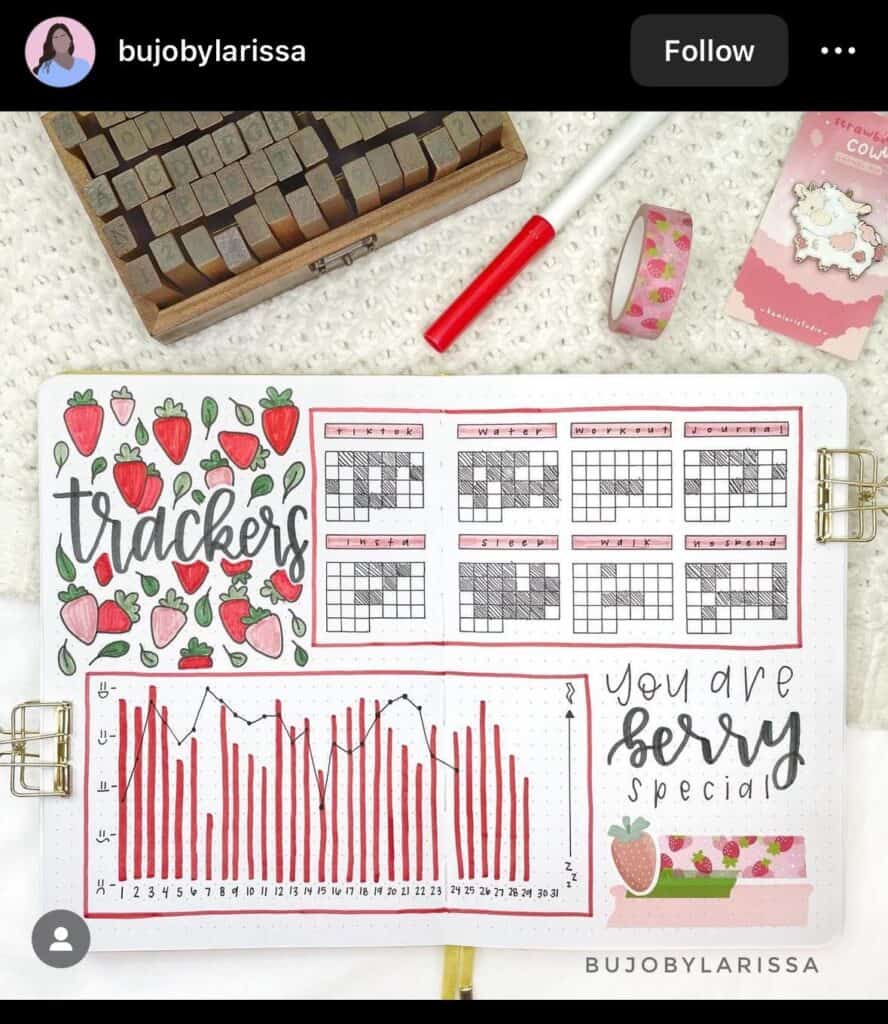strawberry themed bullet journal tracker