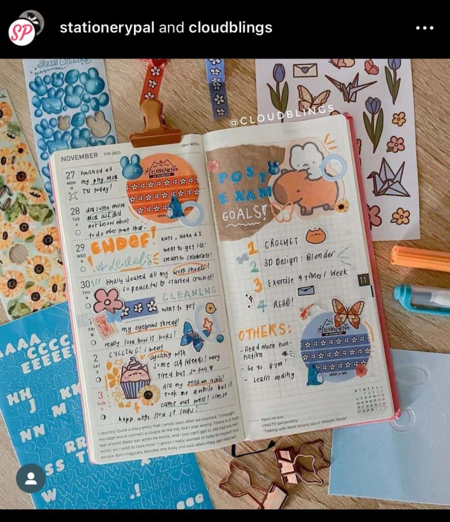 bullet journal goal page