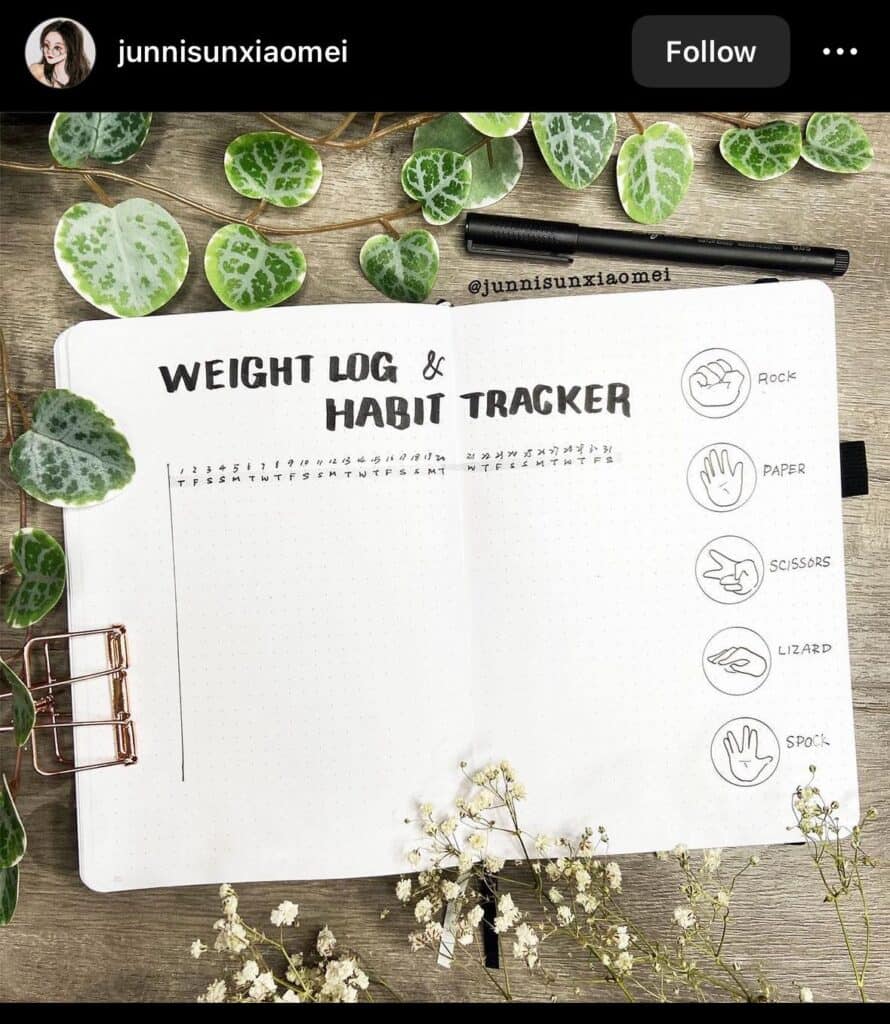 bullet journal weight log and habit tracker